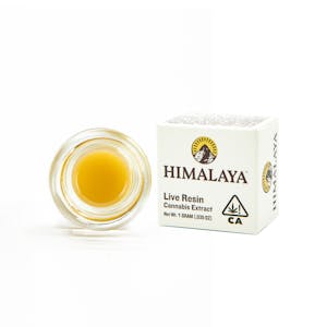 Himalaya | Pave | Live Resin Terp Sugar | 1g