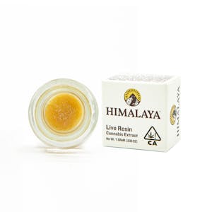 Himalaya | Guava Drops | Live Resin Terp Sauce | 1g