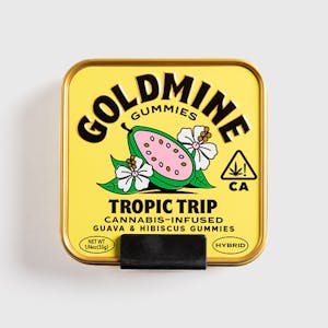 Goldmine Gummies | Tropic Trip Guava & Hibiscus | 100mg