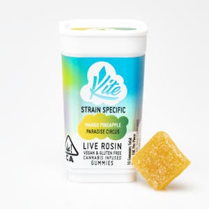 Kite | Mango Pineapple- Paradise Circus | Strain-Specific Live Rosin Gummies | 100mg