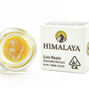 Himalaya | Chemdawg | Live Resin Terp Sugar | 1g