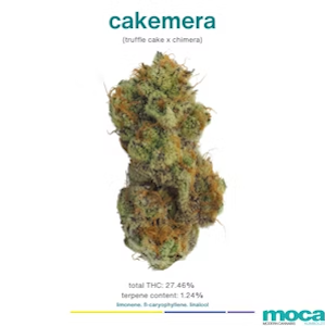 MOCA | Cakemera | Indoor Flower | 1/8oz