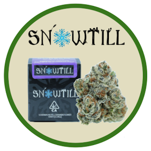 SNOWTILL | Gouda | Premium Indoor Flower | 1/8oz