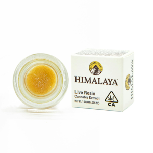 Himalaya | Royal Cherries | Live Resin Terp Sugar | 1g